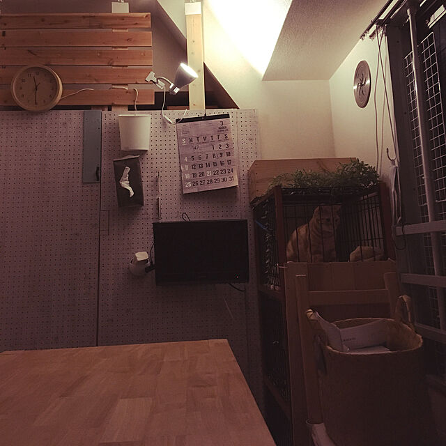 Fumieの-キャットケージ3段　Mサイズ　シンプルタイプ（木製）【猫ケージ 猫 ケージ ネコ ゲージ キャットタワー ペット】の家具・インテリア写真