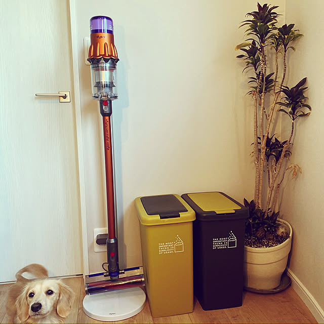 限定価格セール!限定価格セール!Dyson Cyclone V10 Absolutepro SV12