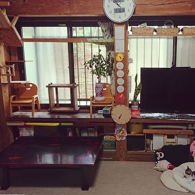 kikuのフラワーネット日本花キ流通-マイナスイオンで空気清浄 サンスベリア・ローレンチ4号鉢 観葉植物の家具・インテリア写真