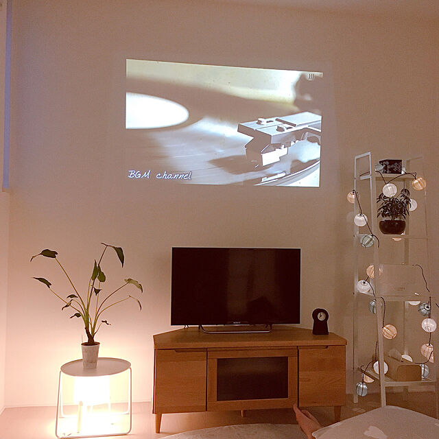 suna_kitsuneのイケア-SOLVINDEN ソルヴィンデン LEDライトチェーン 全24球の家具・インテリア写真