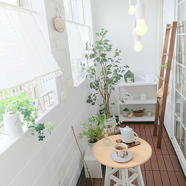 naoのニトリ-グリーン(KH ベンジャミン) の家具・インテリア写真
