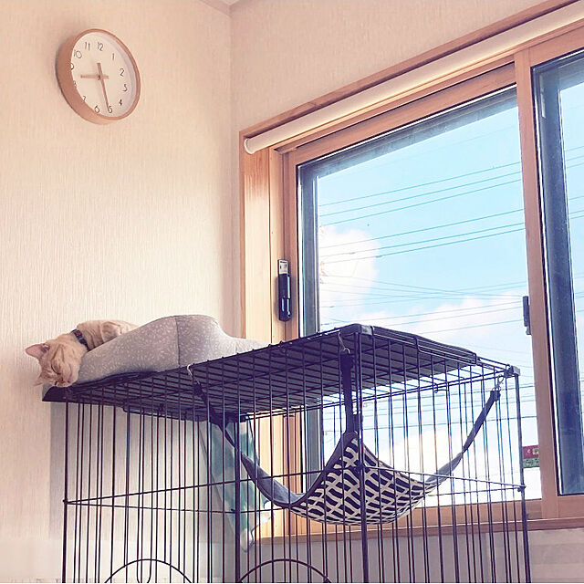 m.k.mの-≪あす楽対応≫キャットケージ　2段　チョコブラウン ペットサークル ペットケージ 猫 キャットハウス サークル ケージ ハウス コーナンの家具・インテリア写真