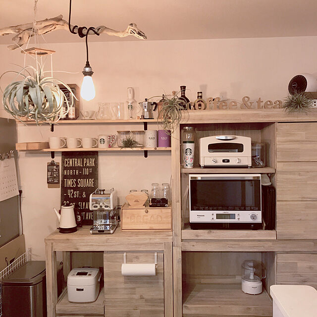youの-エアプランツ チランジア イオナンタ フェーゴ(4〜5cm前後) エアープランツの家具・インテリア写真