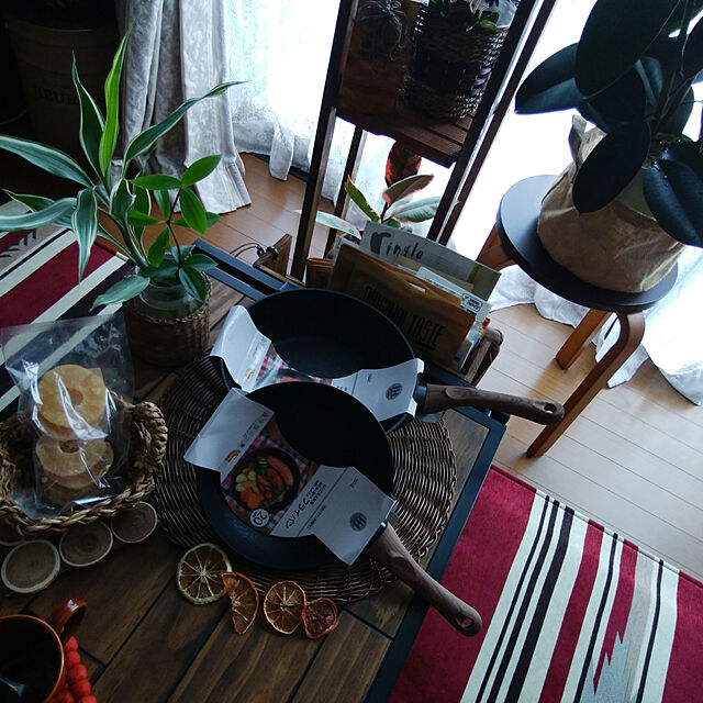 Brown.Lifeのフラワーネット日本花キ流通-ペペロミア フォレット(観葉植物・9cmポット)の家具・インテリア写真