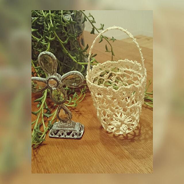 a.s.t.kの-多肉植物　セネシオ属　ドルフィンネックレス　　9cm鉢の家具・インテリア写真