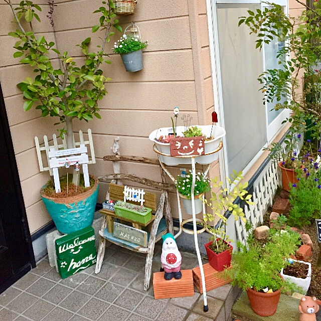 takakoの-（観葉植物）アジアンタム　5号（1鉢）【HLS_DU】の家具・インテリア写真