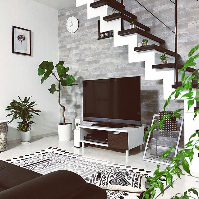 erinanaforのニトリ-QL グリーン(ウンベラータ) の家具・インテリア写真