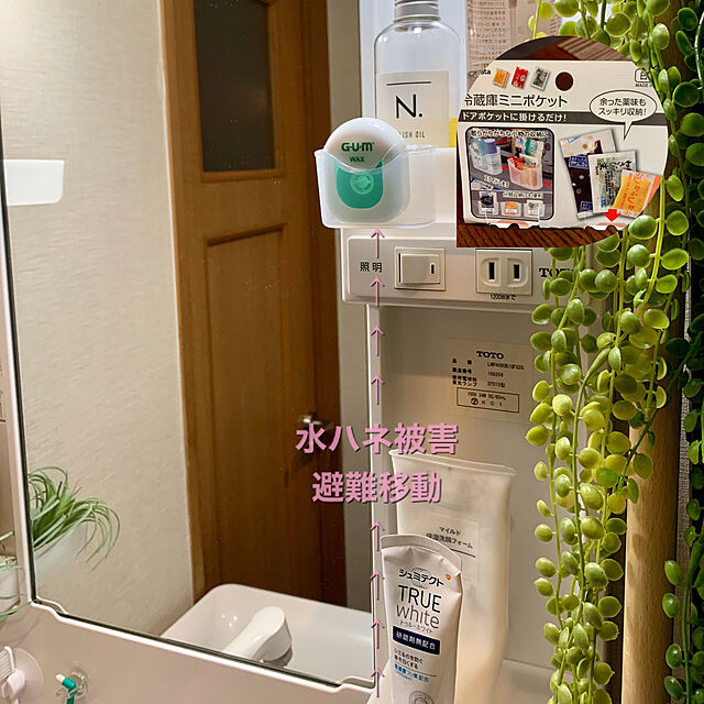 yasuyo66の-シュミテクト トゥルーホワイト 歯磨き粉 高濃度フッ素配合(1450ppm)(80g)【シュミテクト】の家具・インテリア写真