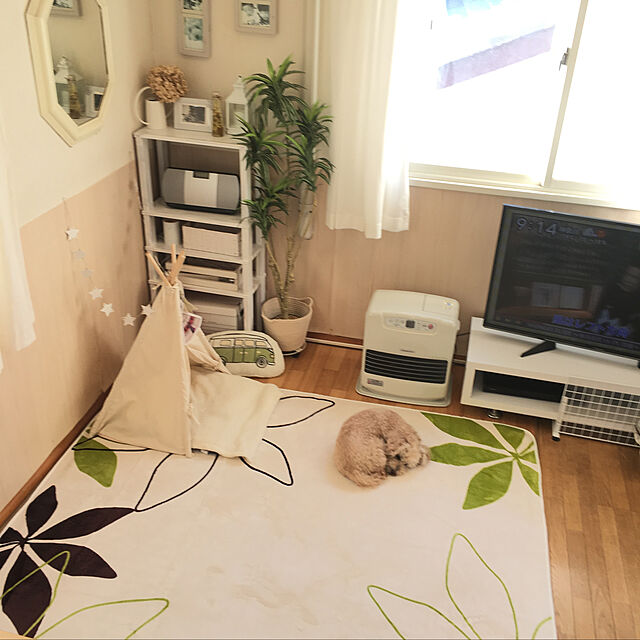 yukarimamaのディーエイチアイ-イケヒコ ラグ カーペット 2畳 洗える 花柄 リーフ柄 『WSパキラIT』 グリーン 約185×185cm (ホットカーペット対応) ♯9810257の家具・インテリア写真