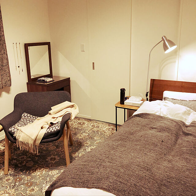 mamisanのニトリ-アクセントクッション(IN アイビ-) の家具・インテリア写真