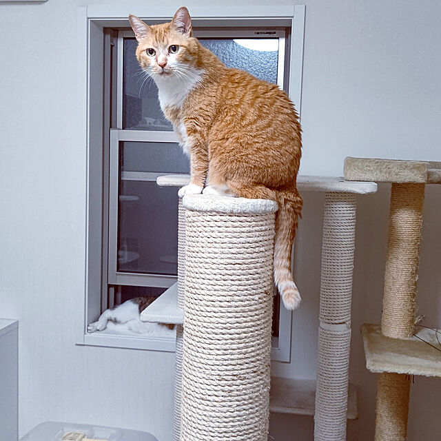 arisaの-ウルトラキャットポールトリプル 超ビッグ 爪とぎポール 3段 太い 麻ポール 爪とぎ 大型ねこ 大型猫 多頭 送料無料 木登り 高さ138cmの家具・インテリア写真