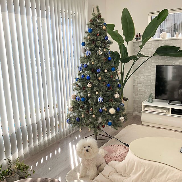 unichanの-クリスマスツリー 210cm フルセット 北欧風 赤 レッド ゴールド シルバー 金 銀 おしゃれ 大きめ クリスマスツリーセット Xmas tree ショップ用 法人用 オーナメントセット かわいい LED ライト 星 ジュールレンケリ[大型荷物]の家具・インテリア写真