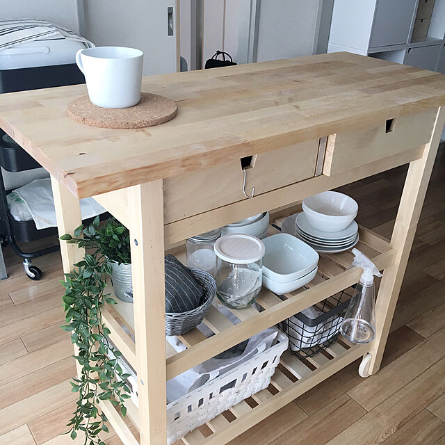 monnaのイケア-[IKEA/イケア/通販]FEJKA フェイカ 人工観葉植物, 室内/屋外用/つり下げ型[D](c)(40349545)の家具・インテリア写真