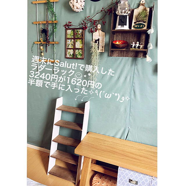 mo-nosukeのニトリ-チェアパッド(ビスケット) の家具・インテリア写真