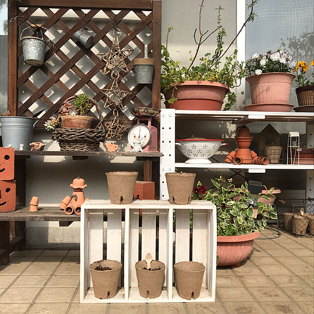 Yoshikoのサカタのタネ-サカタのタネ かんたんさし芽タネまきの土　ジフィーミックス4Lの家具・インテリア写真