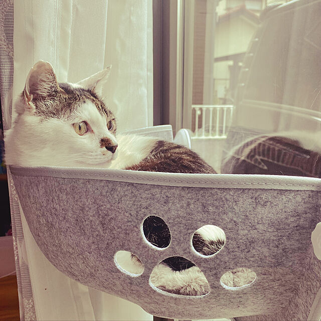 toufuの-猫 ハンモック 窓 吸盤タイプ 猫窓ベッド 窓掛け 窓際 取付簡単 日光浴 ネコ用 キャット ねこ 室内用 ペットベッド ペット 猫窓ハンモック ひなたぼっこ 日向ぼっこの家具・インテリア写真