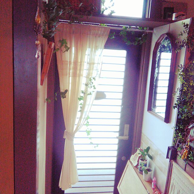 qpieの-ヘデラ アイビー ヘリックス 吊り鉢 観葉植物 送料無料の家具・インテリア写真