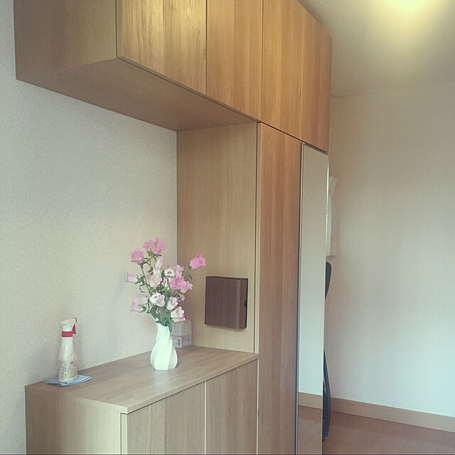 SHANの-木目柄が綺麗な壁掛け収納ボックスの家具・インテリア写真