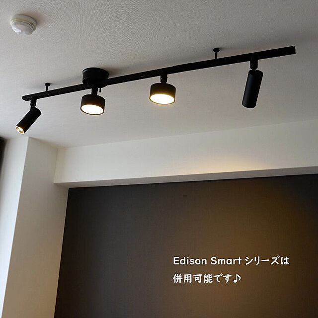 lifeis...のEdison Smart-エジソンスマート ミニシーリングライト ダクトレール 引掛けシーリング 専用リモコン対応の家具・インテリア写真