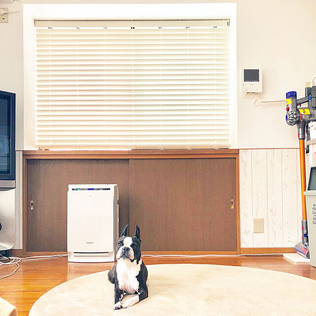 kurumeruの伸晃-伸晃 スティッククリーナースタンド　Dyson（ダイソン）専用　ブラウン　BKCSDBRの家具・インテリア写真