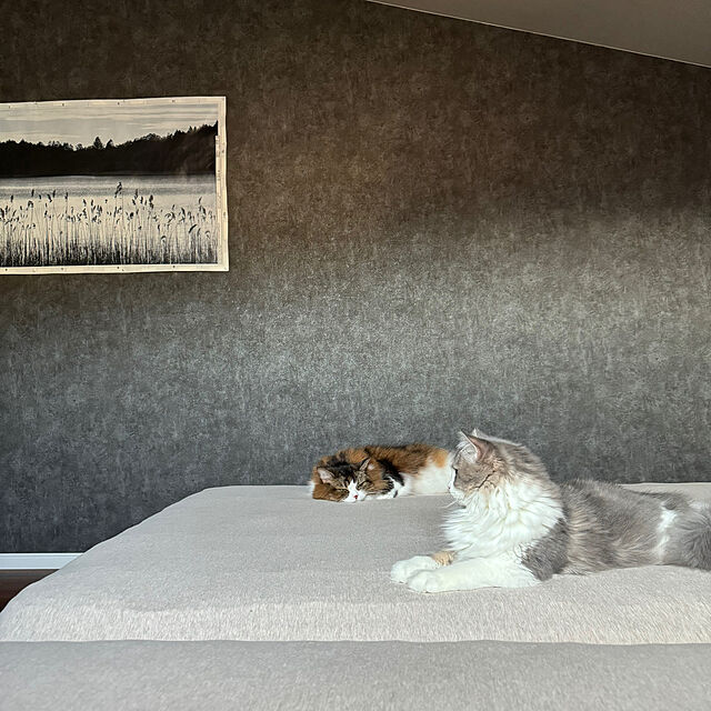 sakiのイケア-BJÖRKSTA ビョルクスタ アート フレーム付きの家具・インテリア写真
