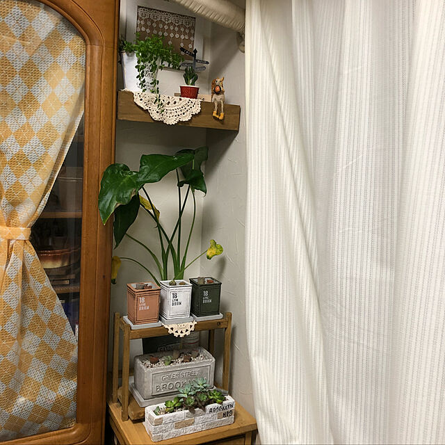 miyakoの-植木鉢 ルフェール・スクエアカンポットセット（Sサイズ）グリーンの家具・インテリア写真