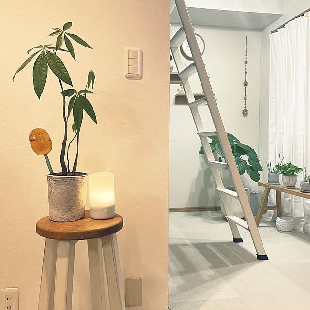 amabro[アマブロ]TWO TONE WATER DISPENSER【L】ツートーン ウォーターディスペンサー[水差し 自動給水機