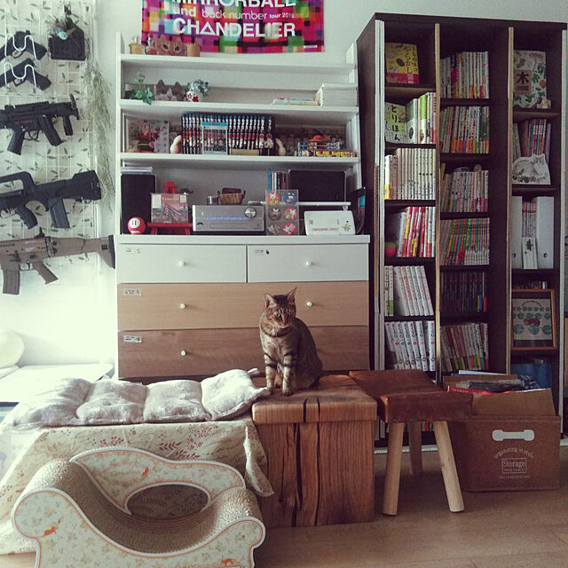 futukoのニトリ-スライド本棚(エスタンテ W DBR) の家具・インテリア写真