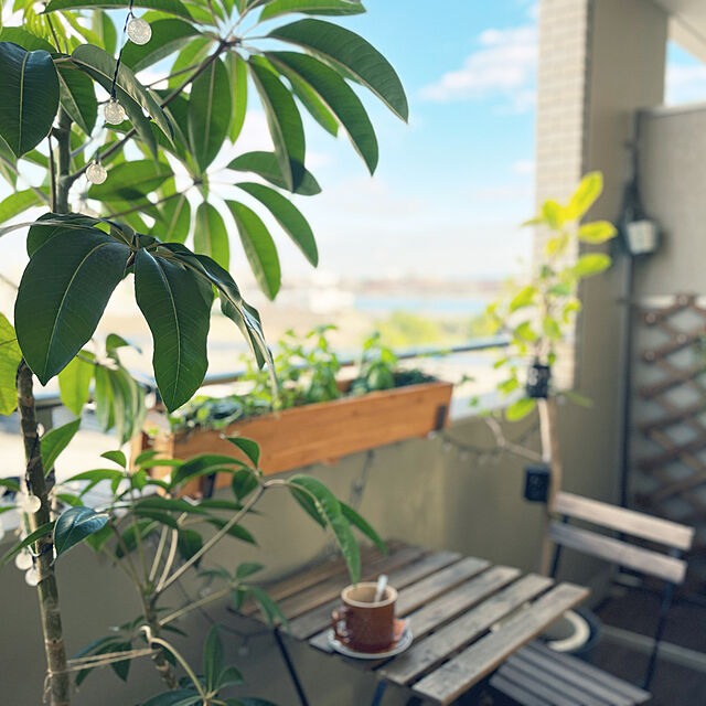 a_san622の小林金物-小林金物 グリーンガーデン(Green Garden) ステンレス製 プランターハンガー ワイド型 No.105の家具・インテリア写真