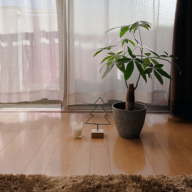 Mia216のイケヒコ・コーポレーション-シャギー調ラグ　ラルジュ　【イケヒコ】の家具・インテリア写真