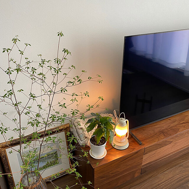 ayashigeの-レグナテック社製 TVボード 200TVスタンド グロッセ（重厚） 3素材対応（BC/WN/OAK） ウレタン塗装 BKガラス仕様あり 開梱設置送料無料の家具・インテリア写真