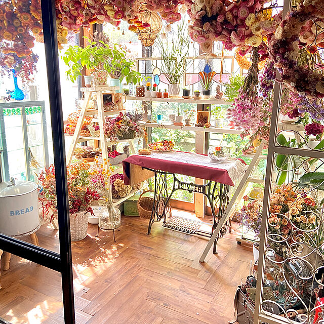 na-chanの-レモンの香りの 『 レモンマートル 』 10.5cmポット苗の家具・インテリア写真
