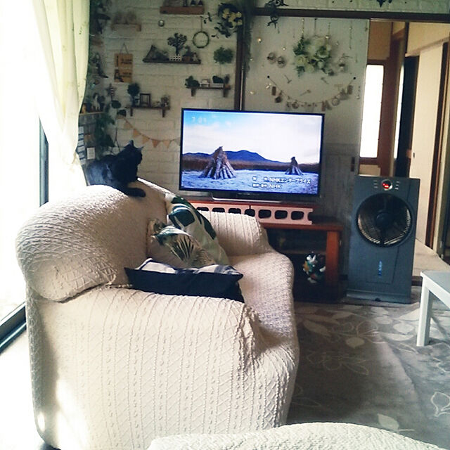 Tomopのニトリ-クッションカバー(PT モンステラ) の家具・インテリア写真
