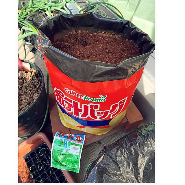 syutmmの-カルビーポテト栽培用種芋「ぽろしり」 袋で育てるじゃがいもの土「ポテトバッグ」 セットの家具・インテリア写真