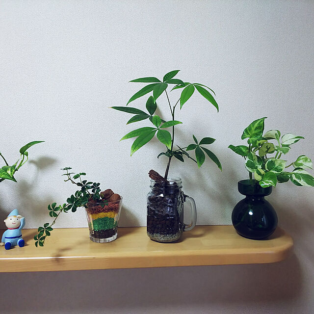 akiwaka-roomの-室内園芸用土 チャコボール 300g [室内で育てるコーヒーの木におすすめ]の家具・インテリア写真