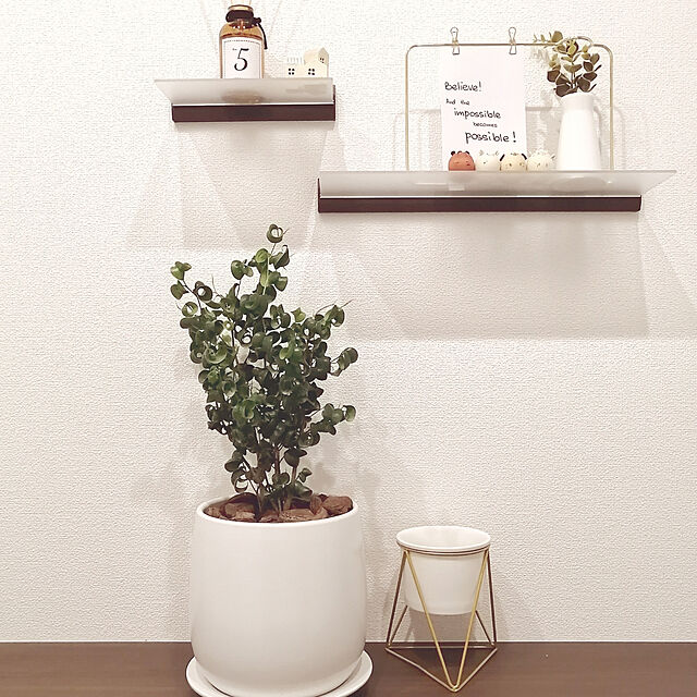 ishicoroの-アイアンフォトスタンド×フラワーベース 花瓶 【ART OF BLACK】の家具・インテリア写真