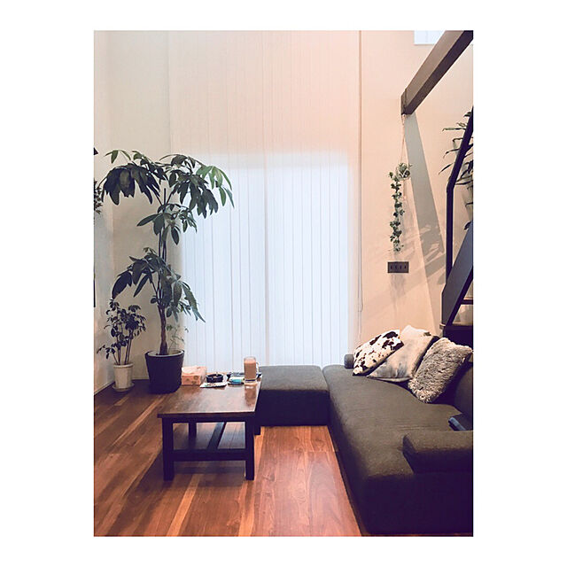 Yokoの-牛柄 クッション 送料無料 Mサイズ モダン 北欧の家具・インテリア写真