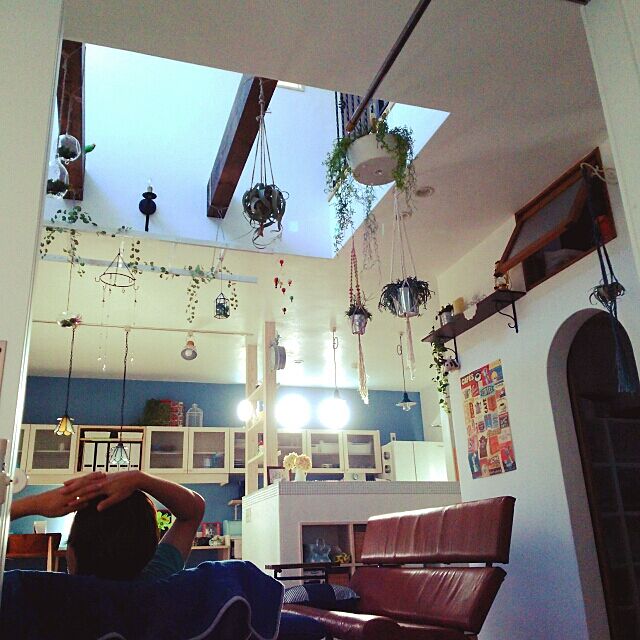 Kumiの-観葉植物　サボテン　多肉植物：リプサリス*5号の家具・インテリア写真