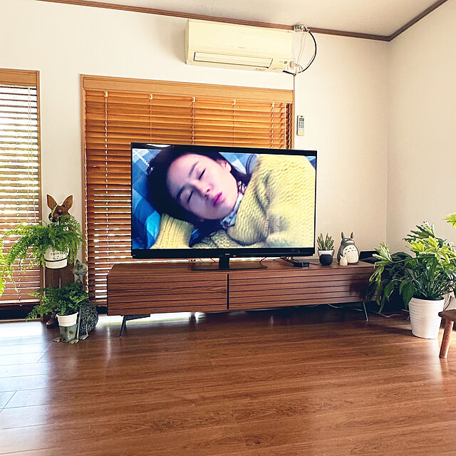 mizuyoのシャープ-シャープ 48V型 有機EL テレビ AQUOS OLED 4T-C48EQ2 4K チューナー内蔵 Google TV (2022年モデル)の家具・インテリア写真