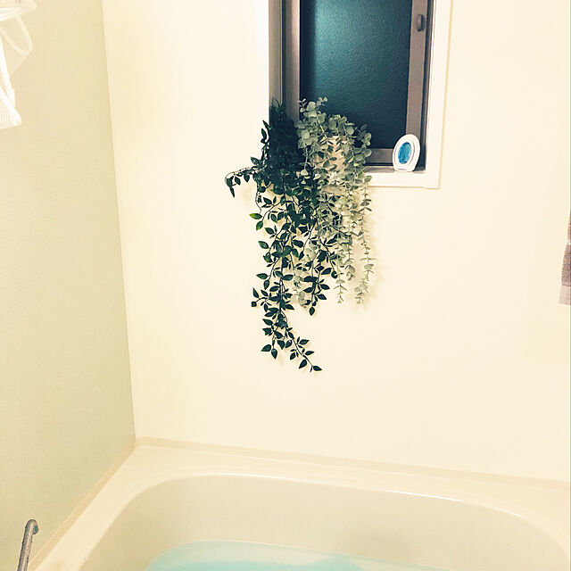 HisaのP&G-ファブリーズ お風呂用防カビ剤 真菌対応 フローラル 2個パック 7mLx2の家具・インテリア写真