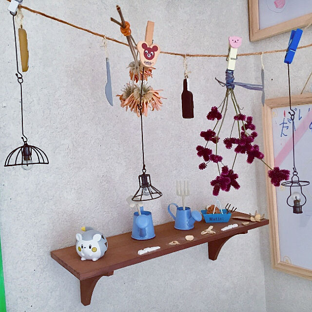takakoの-草花の苗/22年3月中下旬予約 ガーデンガーベラ（ガルビネア）：スイート　ラブ3.5号ポットの家具・インテリア写真