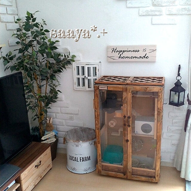 saayaの-涼感キューブ L【夏季商材】の家具・インテリア写真