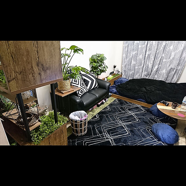 yuyuのニトリ-遮光2級・遮熱カーテン(パームリーフ グレー 100X200X2) の家具・インテリア写真