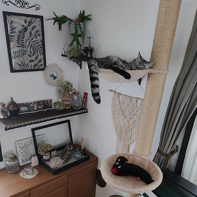 hiro3の-おうちで木登りタワー 専用ハンモック 猫 猫用品 キャットタワー カップ ハンモック スクラッチ ポール ペットグッズ おしゃれ 麻 インテリアの家具・インテリア写真
