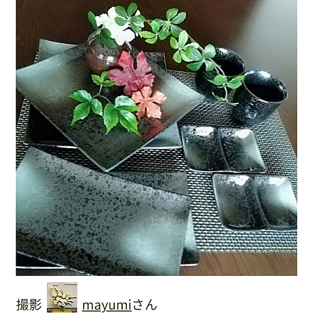 mayumiのニトリ-2連プレート 緑吹天目(MT-32) の家具・インテリア写真