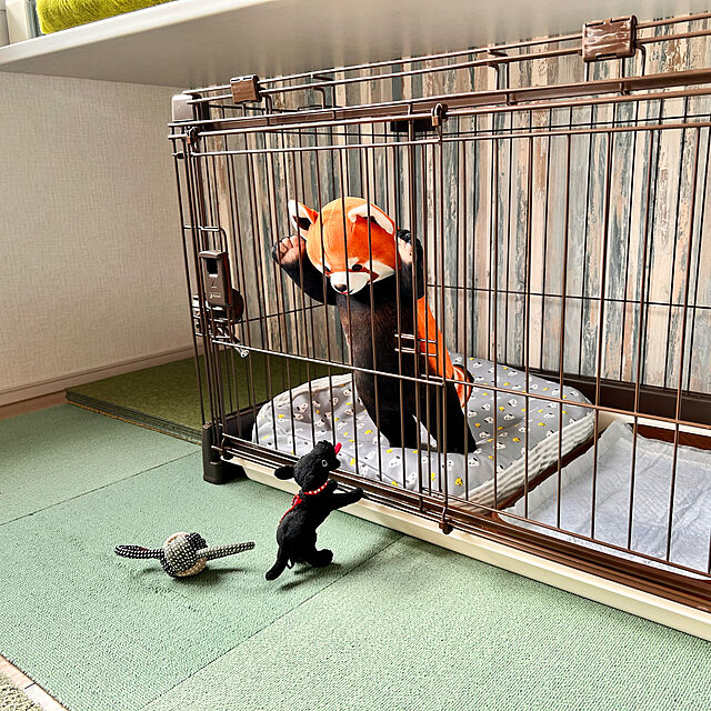 aboruの-マルカン フレンドサークルスライドドアM DP-458 （犬用ケージ）【ネコポス不可】の家具・インテリア写真