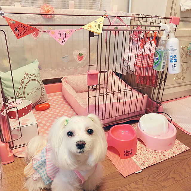 kurin_roomの-リッチェル ペット用 お掃除簡単サークル 90-60 ピンク(P) 《超小型・小型犬用》の家具・インテリア写真