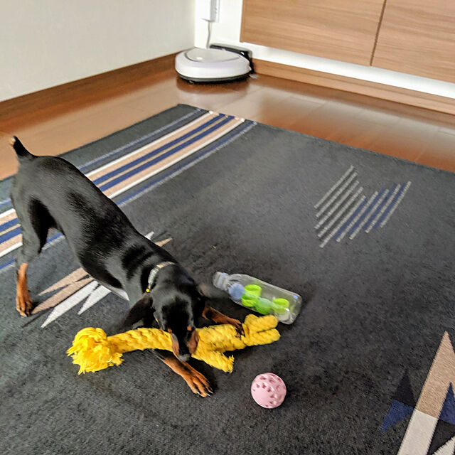 shizuponのドギーマン-ドギーマン 犬用おもちゃ アミーバー ボール ピンク S サイズの家具・インテリア写真