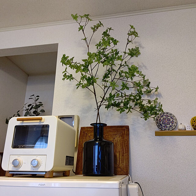 megunyの-ドウダンツツジ枝　GREEN fg007282-zzz 花葉付き枝もの【東京堂】の家具・インテリア写真