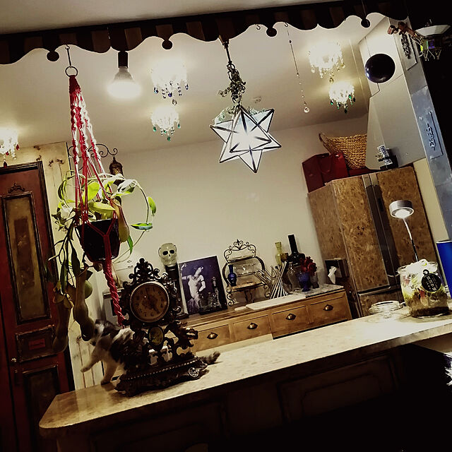 mikiのBARREL-【植物育成LED SUN-10W-S（PLANTLIGHT10W）】の家具・インテリア写真